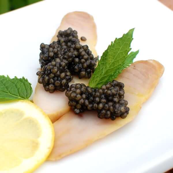 caviar03