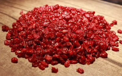goldenskyfood.com